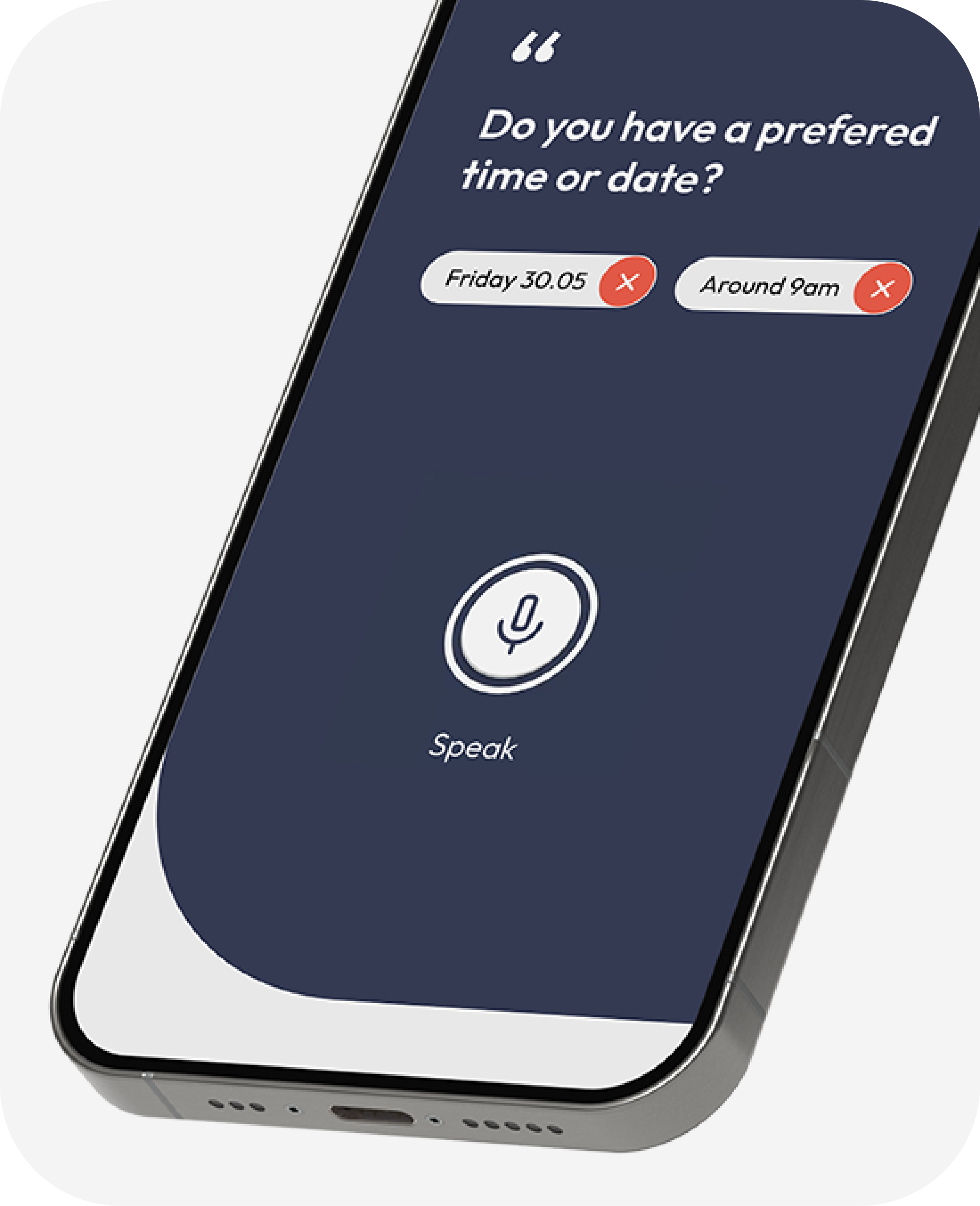 Voice input interface